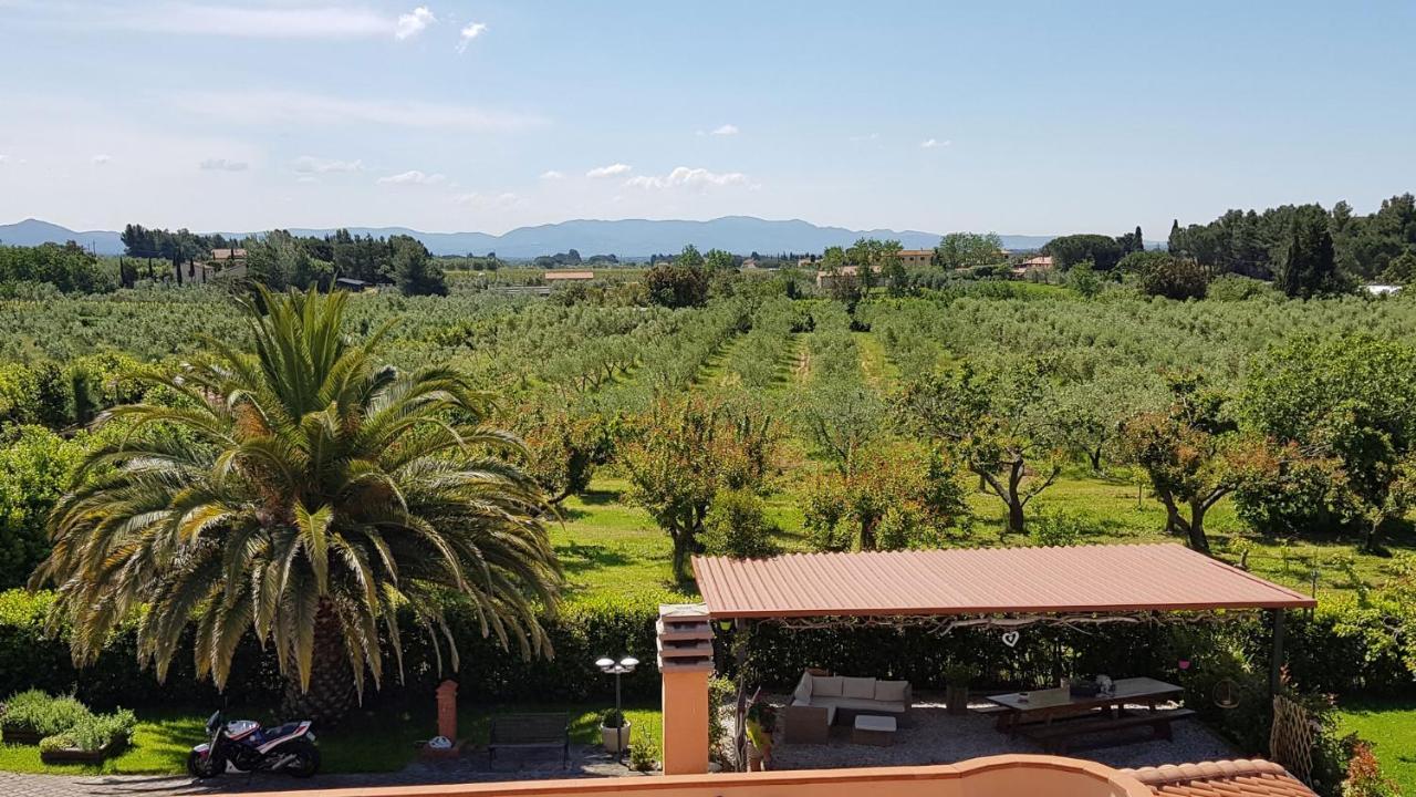 צ'צ'ינה Villa Mandrioli מראה חיצוני תמונה